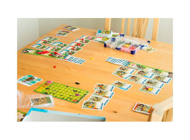 Imperial Settlers Brætspil 